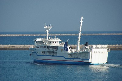 たらまゆう。
