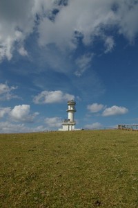 東崎は牧草地。