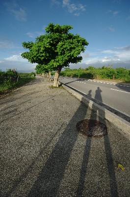 明日への道。