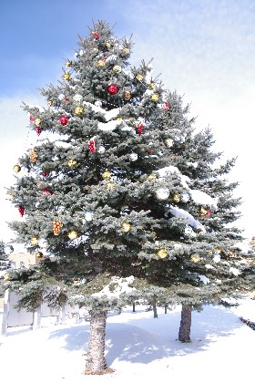 メリークリスマス。