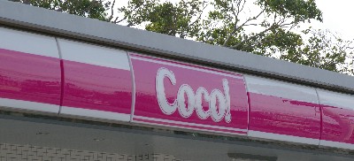 石垣島の桜とＣＯＣＯ！