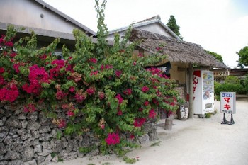 マキ荘＊竹富島。