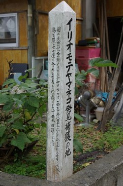 イリオモテヤマネコ発見＊捕獲の地