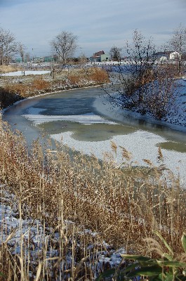 根雪の始まり。