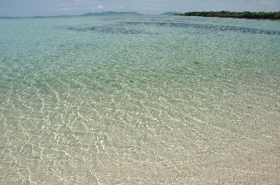 コンドイ浜。