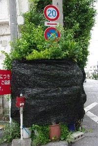 台風対策。 2011/08/11 20:29:37