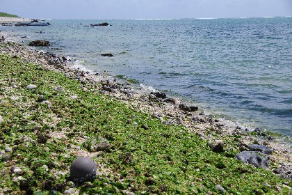白保の海。