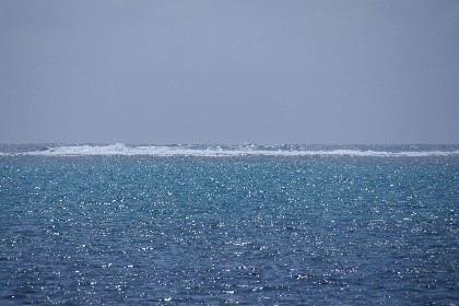白保の海。