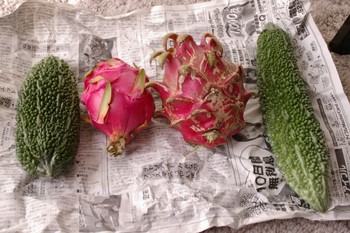 嬉しいゴーヤー。