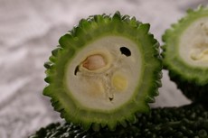 嬉しいゴーヤー。