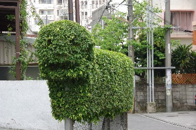 何となく・・・