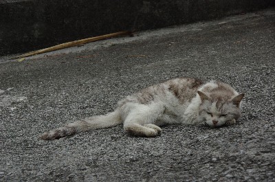 首里金城町石畳道へ。