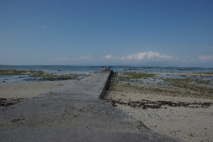 明日への旅。
