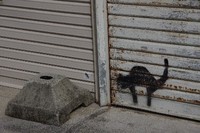 黒猫。 2012/05/29 20:56:58