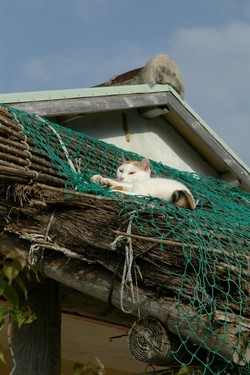 ミー＊マキ荘。