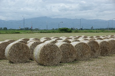 北海道の夏　＃４