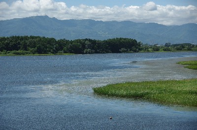 北海道の夏　＃２