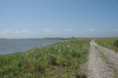 南の島の空気。
