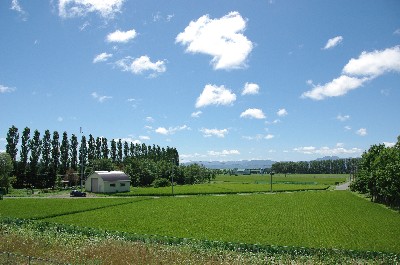 北海道の夏　＃２