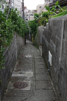スージ小。