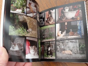 MYBOOK＊マイブック