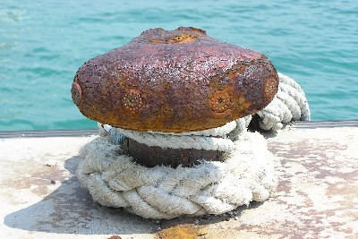 港の宇宙人。