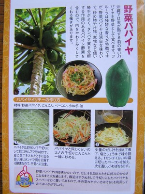 パパイヤイリチー。