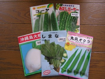 沖縄野菜。