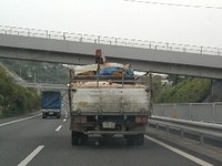 豚さん、どこへ行く…