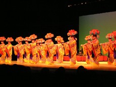 南の島々の踊り。