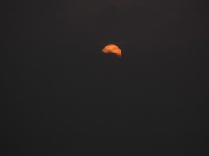 夕陽。