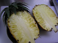 石垣パイン＊初物