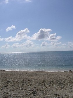 白保の浜。