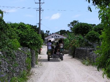 竹富島の水牛車。