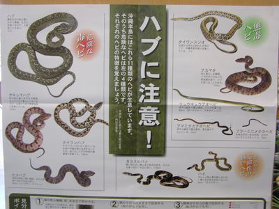 ハブに注意。