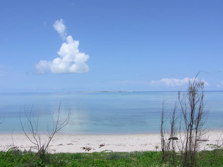海が見たいよー。
