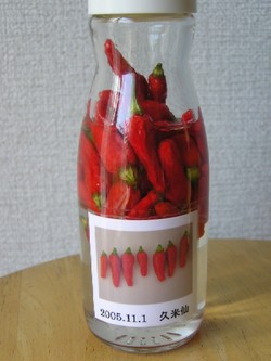 島とうがらし＊コーレーグース。