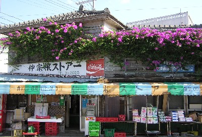 ブーゲンビリアの家。