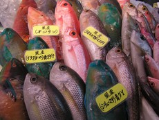 赤嶺鮮魚店。