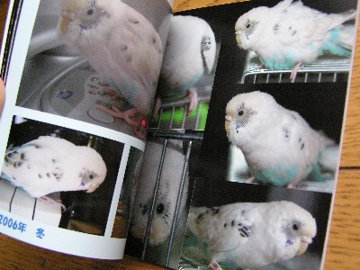 MYBOOK☆マイブック