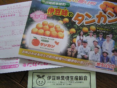 たんかん注文。