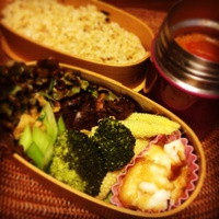 揚げ出しジーマミ弁当 2015/02/19 06:36:23