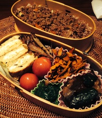 一色そぼろ弁当 2015/04/10 05:13:10