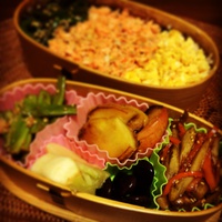 そぼろ弁当 2015/01/29 07:40:44