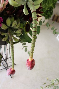 グロい花 Flower Green 花さく屋 沖縄県 宜野湾市の花屋さん