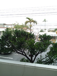 6月20日の記事 2015/06/20 11:03:25