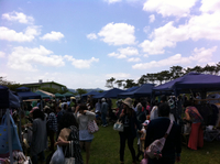 まんまる市お礼 2013/04/29 10:56:21