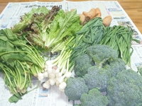 大宜味の実家からたくさんの無農薬野菜が届きました 2013/02/24 09:58:00