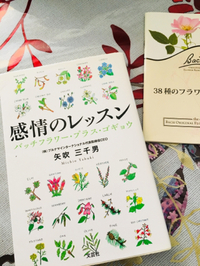 エゴギョウバッチフラワーしてます