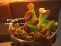 少しの時間。 2013/04/17 23:25:41